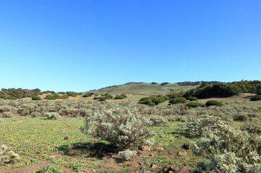 El Sabinar, El Hierro, Kanarya Adaları, İspanya
