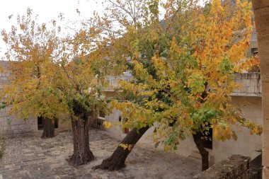 Lalish 'teki Yezidis tapınağı, Kürdistan, Irak