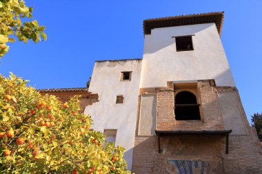 Generalife Bahçeleri, Alhambra 'nın bir kısmı, Granada, Endülüs İspanya