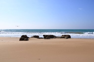 Cadiz, Endülüs, İspanya plajı.