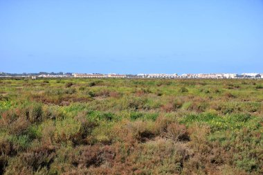 Cadiz Körfezi 'ndeki manzara manzarası (Bahia de Cadiz) İspanya' daki Doğal Park, Endülüs