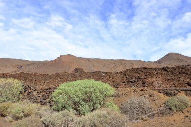 Sersemletici volkanik manzara, engebeli lav kayaları ve El Hierro, Kanarya Adaları, İspanya 'daki yeşil bitki örtüleri.