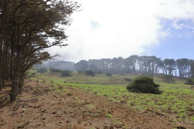 El Sabinar, El Hierro, Kanarya Adaları, İspanya