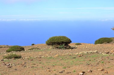 El Sabinar, El Hierro, Kanarya Adaları, İspanya