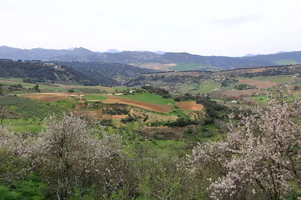 Guadalevin Nehri üzerindeki Yeni Köprü, Puente Nuevo, Ronda, Endülüs, İspanya