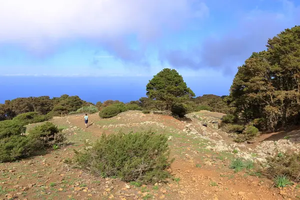 El Sabinar, El Hierro, Kanarya Adaları, İspanya