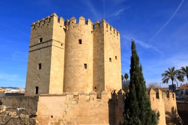 Cordoba 'daki Torre De Calahorra, İspanya' daki Endülüs