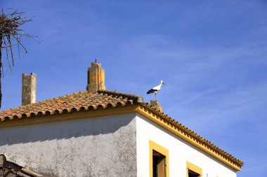 İspanya 'da El Higueron, Cordoba, Endülüs yakınlarındaki bir evin çatısında oturan leylekler.