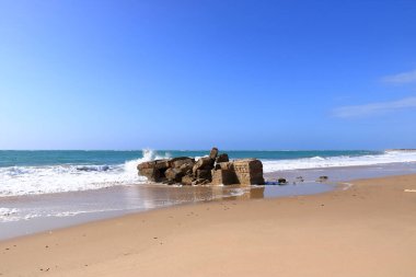 Cadiz, Endülüs, İspanya plajı.