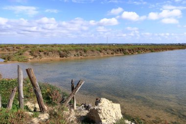 Cadiz Körfezi 'ndeki manzara manzarası (Bahia de Cadiz) İspanya' daki Doğal Park, Endülüs