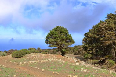 El Sabinar, El Hierro, Kanarya Adaları, İspanya