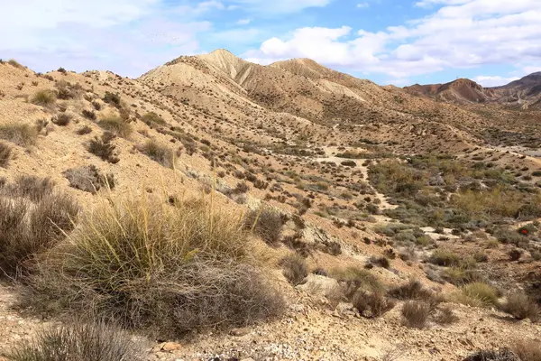 Tabernas Çölü manzarası. Almerya Eyaleti, Endülüs İspanya