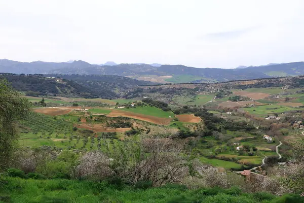 Guadalevin Nehri üzerindeki Yeni Köprü, Puente Nuevo, Ronda, Endülüs, İspanya
