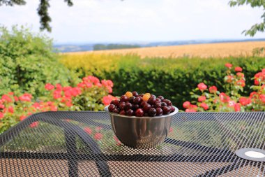 Bahçedeki bir masada küçük bir kasede kirazlar