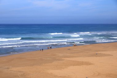 Tanca Cebelitarık Boğazı, Fas - 17 Şubat 2025: Atlantik Okyanusu 'nda deve sürüşü