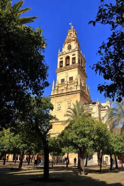 Cordoba, Endülüs İspanya - 13 Şubat 2025: Puerta del Perdon de la Mezquita de Cordoba