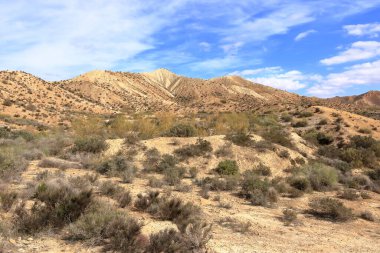 Tabernas Çölü manzarası. Almerya Eyaleti, Endülüs İspanya