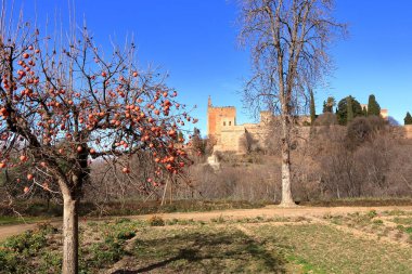 Granada, Endülüs 'teki tarihi Alhambra Sarayı.