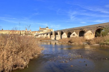 Puente Romano de Cordoba, Endülüs, İspanya