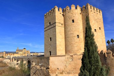 Cordoba 'daki Torre De Calahorra, İspanya' daki Endülüs