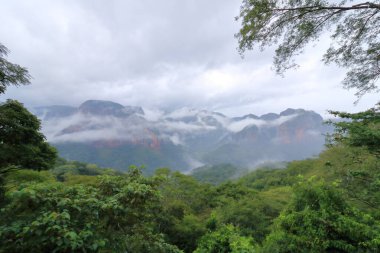 Bolivya 'daki Amboro Milli Parkı' nın görkemli manzarası yağmur ormanları ve vadileri üzerine havadan bakan bir bakış açısı.
