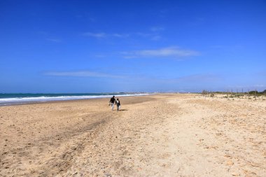 Cadiz, İspanya 'da Endülüs - 16 Şubat 2025: insanlar öğle vakti plajın keyfini çıkarıyorlar