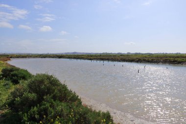 Cadiz Körfezi 'ndeki manzara manzarası (Bahia de Cadiz) İspanya' daki Doğal Park, Endülüs