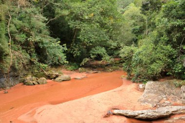 Amboro Ulusal Parkı 'nda ormandaki bir nehir. Bolivya