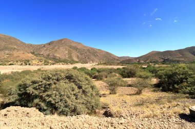 Sucre ve Potosi arasında Bolivya 'da Puente Mayu Tambo nehri kıyısında manzara