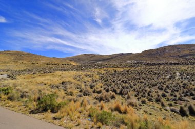 Bolivya 'da Potosi ve Uyuni arasındaki karayolu boyunca kaya oluşumları