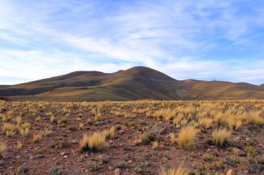 Bolivya 'da Potosi ve Uyuni arasındaki karayolu boyunca kaya oluşumları