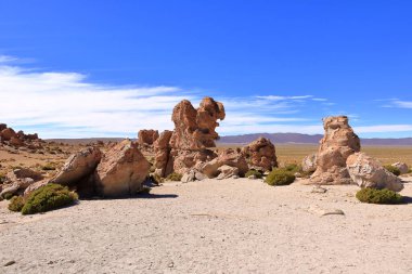 Güney Bolivya 'daki Bosque de Piedras kaya oluşumu (Valle de Rocas, Ciudad de Piedra)