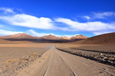 Uyuni 'den Bolivya' nın güneyine yapılan bir yolculuktaki manzara.