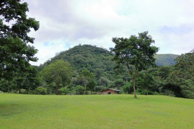 Bolivya 'daki Amboro Milli Parkı' nın görkemli manzarası yağmur ormanları ve vadilere bakış açısıyla