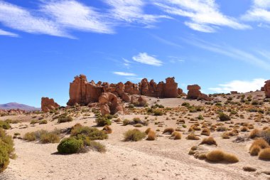 Güney Bolivya 'daki Bosque de Piedras kaya oluşumu (Valle de Rocas, Ciudad de Piedra)