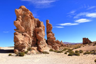 Güney Bolivya 'daki Bosque de Piedras kaya oluşumu (Valle de Rocas, Ciudad de Piedra)