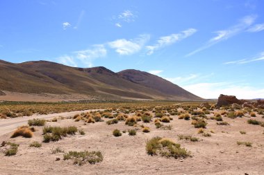 Güney Bolivya 'da İtalya' nın Perdida kaya oluşumu (Valle de Rocas, Ciudad Italia)