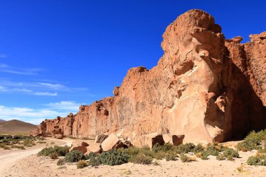 Güney Bolivya 'da İtalya' nın Perdida kaya oluşumu (Valle de Rocas, Ciudad Italia)