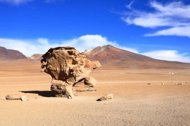 Güney Amerika 'da Bolivya' nın Uyuni Tuz Düzlüğü bölgesindeki Siloli Çölü 'ndeki ünlü taş ağaç oluşumu (Arbol de Piedra).