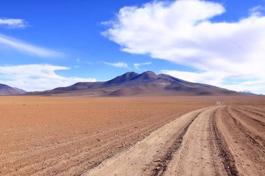 Uyuni 'den Bolivya' nın güneyine yapılan bir yolculuktaki manzara.
