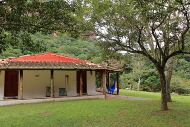 Bolivya 'daki Amboro Ulusal Parkı - 19 Mayıs 2025: küçük bir yakıt ikmali ormanı.