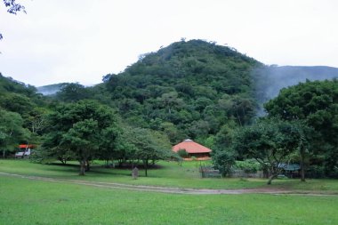 Bolivya 'daki Amboro Ulusal Parkı - 19 Mayıs 2025: küçük bir yakıt ikmali ormanı.