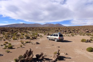 Bolivya - 25 Mayıs 2025: Bolivya 'nın güneyinde Uyuni' den yola çıkan manzara