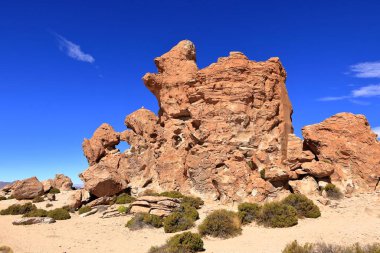 Güney Bolivya 'daki Bosque de Piedras kaya oluşumu (Valle de Rocas, Ciudad de Piedra)