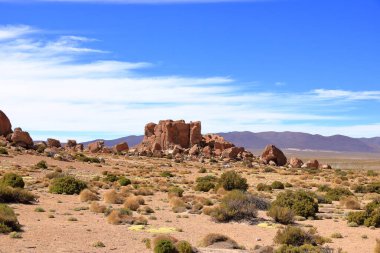 Güney Bolivya 'daki Bosque de Piedras kaya oluşumu (Valle de Rocas, Ciudad de Piedra)
