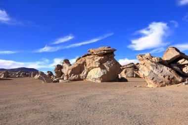 Güney Amerika 'da Bolivya' nın Uyuni Tuz Düzlüğü bölgesindeki Siloli Çölü 'ndeki ünlü taş ağaç oluşumu (Arbol de Piedra).
