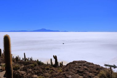 Bolivya 'daki Uyuni tuz dairesindeki Incahuasi Adası' ndan (kaktüs adası) bir manzara