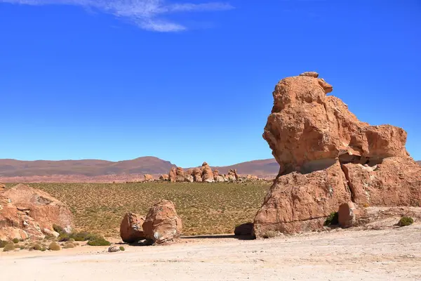 Güney Bolivya 'daki Bosque de Piedras kaya oluşumu (Valle de Rocas, Ciudad de Piedra)