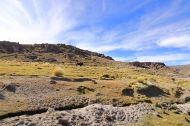 Bolivya 'da Potosi ve Uyuni arasındaki karayolu boyunca kaya oluşumları
