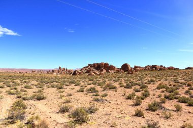 Güney Bolivya 'daki Bosque de Piedras kaya oluşumu (Valle de Rocas, Ciudad de Piedra)